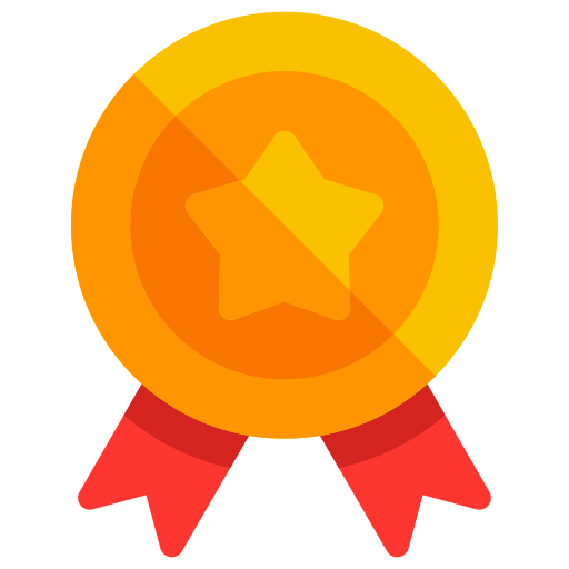 1st Place Medal